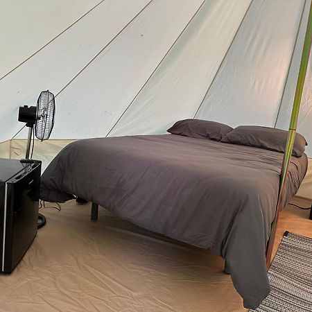 Camping Ripolles Eksteriør bilde