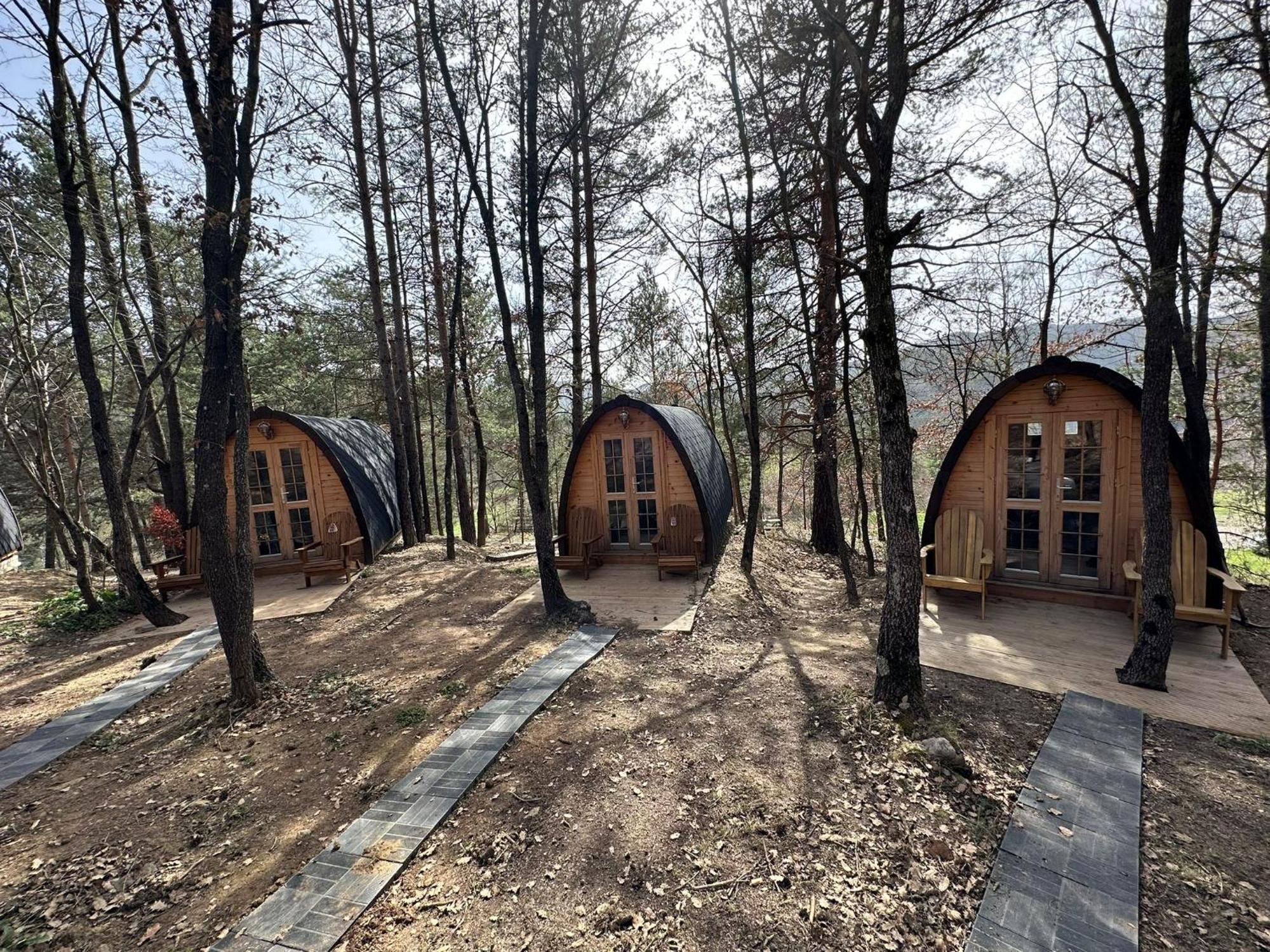 Camping Ripolles Eksteriør bilde
